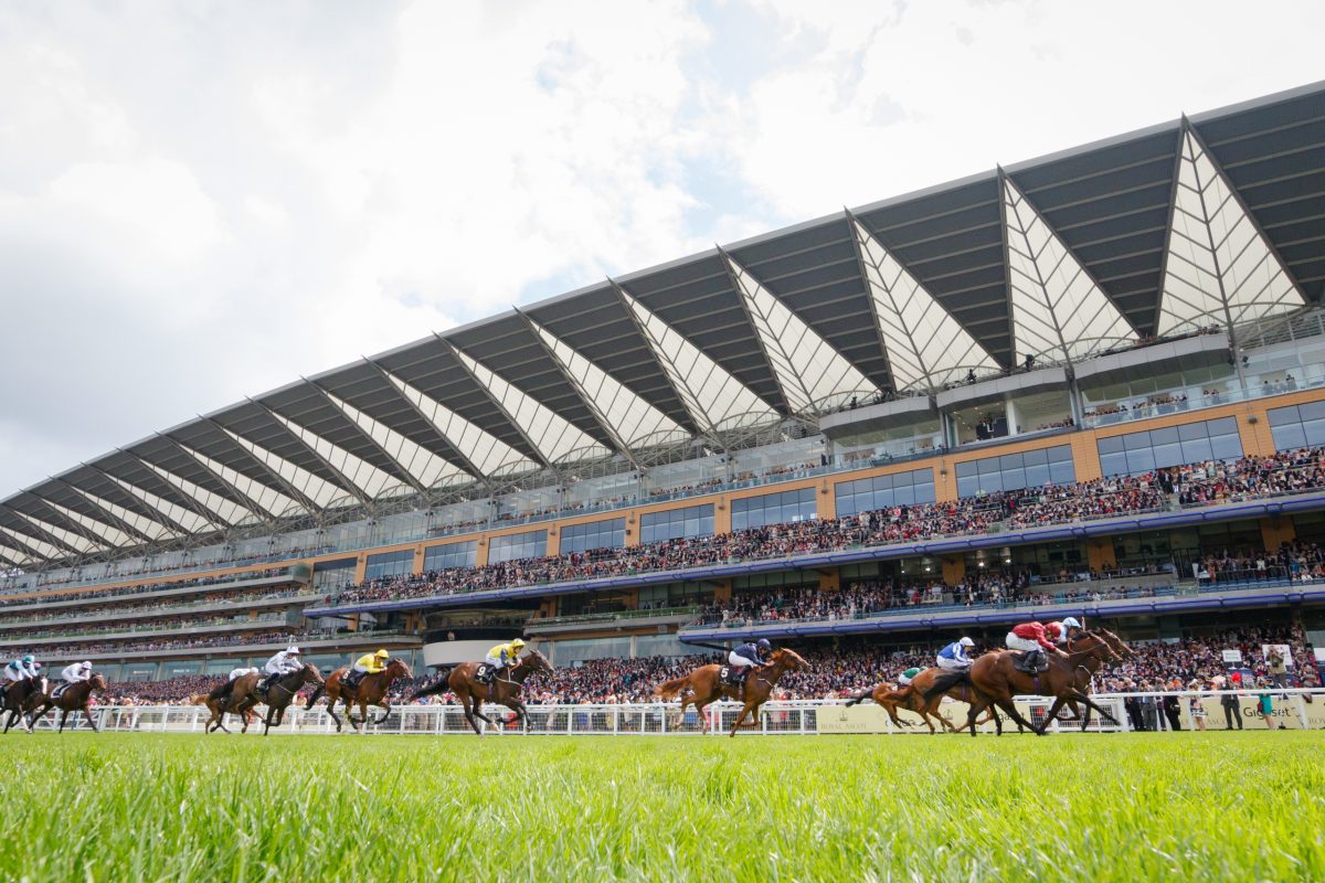 Homebred Hellfire Bay books Royal Ascot ticket Qatar Racing