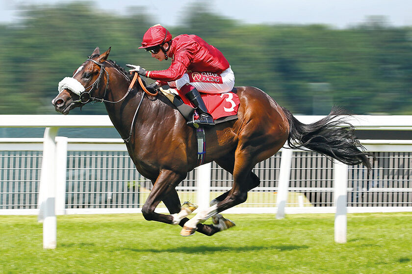 KA gallery 4 2020 10 16 082835