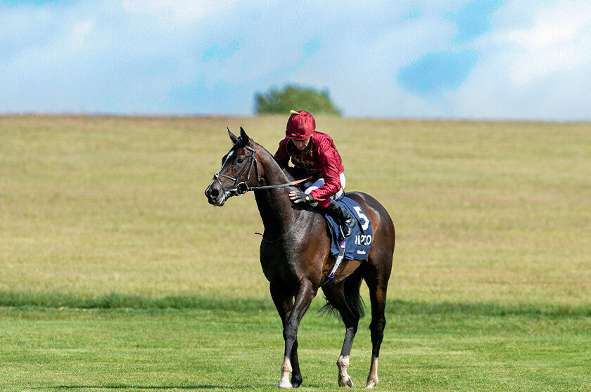 KA gallery 9 2020 10 16 082847