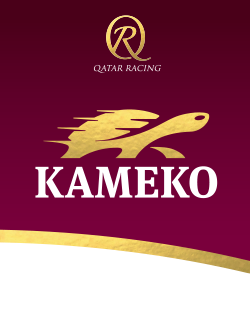 Kameko